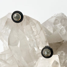 Load image into Gallery viewer, Gold and Black Grey Diamond Studs
